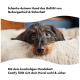 Eine Nahaufnahme eines Dackels, der auf einem flauschigen Hundebett ruht, mit Textüberlagerung auf Deutsch, die Komfort und Sicherheit für Haustiere bewirbt.