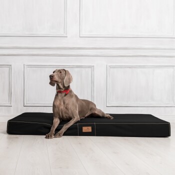 Ein grauer Weimaraner-Hund mit rotem Halsband liegt auf einem schwarzen Haustierbett in einem hellen, minimalistischen Raum mit weißen Verkleidungen.
