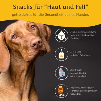 Nahaufnahme eines braunen Hundes mit Text, der getreidefreie Snacks für Haut- und Fellgesundheit bewirbt, mit Omega-3, Zink und Vitaminen.