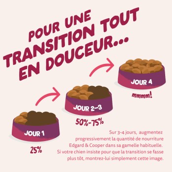 Trois bols montrant la transition alimentaire pour chien avec texte en français et étiquettes de jours (Jour 1 25 %, Jour 2-3 50–75 %, Jour 4 mmmm !)