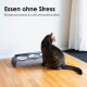 Getigerte Katze neben einem erhöhten Dreifachnapf; Text: 'Essen ohne Stress' und 'Rückenschonend & schnurrhaarfreundlich'.