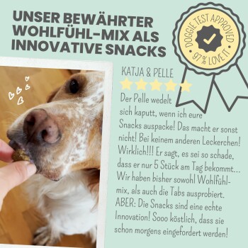 Eine Nahaufnahme eines Hundes, der begierig einen Snack aus der Hand einer Person erhält, mit Text, der die innovativen Wohlfühl-Mix Snacks lobt.