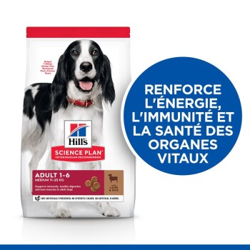 Un sac de nourriture pour chiens Hill's Science Plan avec un chien noir et blanc sur le devant, avec un texte mettant en avant les bienfaits pour l'énergie et l'immunité.