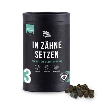 Schwarzer Behälter mit Tales & Tails Hundezahnpflege-Leckerlis mit deutschem Text und verstreuten Leckerlis daneben.