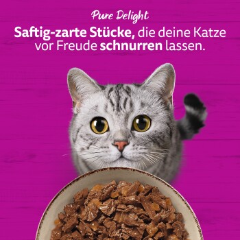 Graue getigerte Katze schaut über eine Schale Nassfutter; lila Hintergrund mit Text 'Pure Delight' und deutschem Slogan.