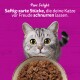 Graue getigerte Katze schaut über eine Schale Nassfutter; lila Hintergrund mit Text 'Pure Delight' und deutschem Slogan.