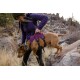 Eine Person in einer lila Jacke hilft einem braunen Hund, der ein Geschirr trägt, während er über ein felsiges Gelände in einer natürlichen Umgebung klettert.