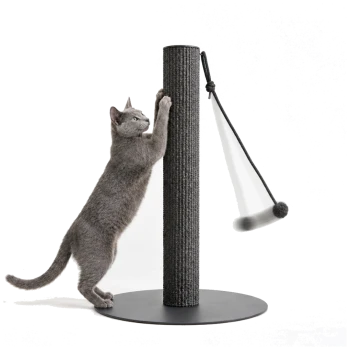 Graue Katze streckt sich und kratzt an einem hohen schwarzen Sisalpfosten mit hängendem Pompon-Spielzeug auf rundem Sockel vor weißem Hintergrund.