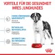Ein großer Hund steht neben einer roten Schüssel mit Royal Canin Welpenfutter und hebt Vorteile wie Immunsupport, Muskelwachstum und Mikrobiomgesundheit hervor.