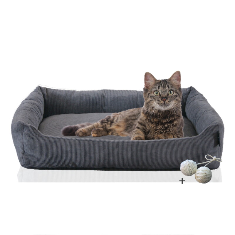 Rohrschneider ® Katzenbett waschbar mit Gratis-Beigabe, robuster Fein-Cordstoff anthrazit