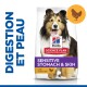 Sac de nourriture pour chien Hill's Science Plan avec un colley souriant, étiqueté 'Estomac & Peau Sensibles' avec du poulet, et 'Recommandé par les vétérinaires.'