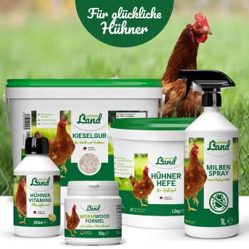 Hühner Land Pflegeprodukte für Hühner; Etiketten zeigen Kieselgur, Milbenspray, Hühnerhefe und 'Für glückliche Hühner'.