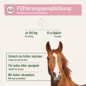 Fütterungstabelle für Pferde mit Empfehlungen: "15g täglich pro 100kg", "ins Futter mischen", "geeignet für alle Altersgruppen", "hohe Akzeptanz."