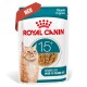 Royal Canin Senior Cats 15+ Nassfutterbeutel mit Stücken in Soße, für Katzen über 15 Jahre, mit der Aufschrift "NEU".