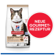 Un sac de nourriture pour chat avec un chat tigré, étiqueté "Hill's Science Plan Culinary Creations Adult 1-6," avec un cercle rouge indiquant "Neue Gourmet-Rezeptur."
