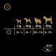 Guide d'alimentation pour chiens : Portions quotidiennes par poids—5 kg (3½-4 tasses), 10 kg (6½-7 tasses), 20 kg (10½-11½ tasses), 35 kg (16-17½ tasses), 85 kcal/100 g.