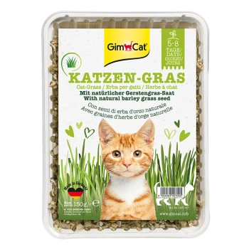 Verpackung für GimCat Katzengras, mit einer Nahaufnahme des Gesichts einer orangefarbenen getigerten Katze, mit Text in mehreren Sprachen und Grafiken von grünem Gras.