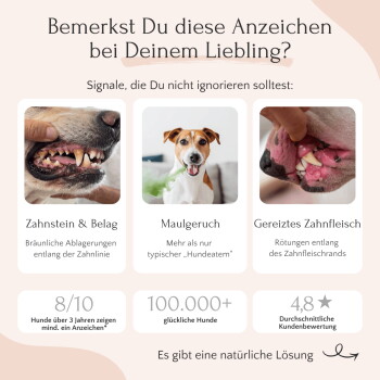 Bild, das FAVLY funktionale Haustierprodukte mit herkömmlichen Produkten vergleicht und Vorteile wie 100 % natürliche Zutaten und Transparenz hervorhebt.