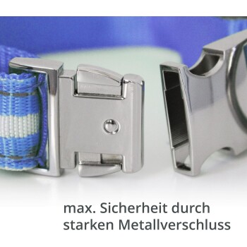 Nahaufnahme eines blau-weißen gestreiften Haustierhalsbands mit einer starken Metall-Schnalle, mit dem Text "max. Sicherheit durch starken Metallverschluss."