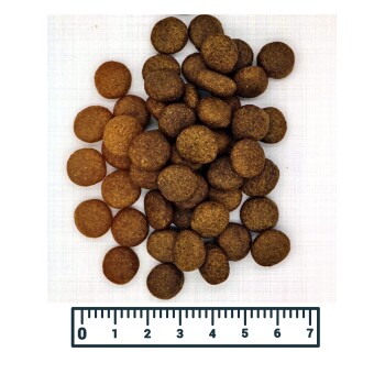 MyPetClub (8 kg) getreidefreies Wild Hundefutter hypoallergen & sensitiv