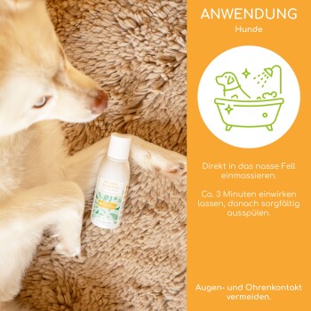 Ein hellfarbener Hund liegt auf einem weichen Teppich neben einer Flasche Haustiershampoo. Die Flasche hat ein grünes Etikett und Anweisungen auf Deutsch zur Anwendung bei Hunden.