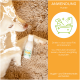 Ein hellfarbener Hund liegt auf einem weichen Teppich neben einer Flasche Haustiershampoo. Die Flasche hat ein grünes Etikett und Anweisungen auf Deutsch zur Anwendung bei Hunden.