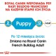 Logo Royal Canin z tekstem po polsku: "Wspiera psy rasy French Bulldog na każdym etapie życia," z "Szczeniak" dla 2 miesięcy i "Dorosły" dla 12 miesięcy.