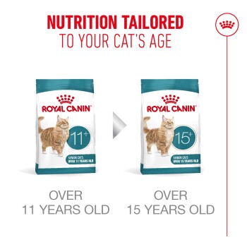 Royal Canin cat food bags for senior cats, tailored for over 11 years old and over 15 years old.