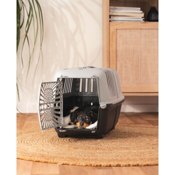 Ein kleiner Hund ruht in einer grauen und schwarzen Haustiertrage mit offener Tür, die auf einem runden gewebten Teppich in einem gemütlichen Raum platziert ist.