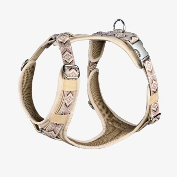 Beige Hundegeschirr mit einem gemusterten Riemen, mit verstellbaren Clips und einem metallenen D-Ring zur Leinenbefestigung.