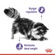 A fluffy cat in motion, with text highlighting "Hunger regulation" and "Maintains ideal weight" in purple.