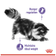 A fluffy cat in motion, with text highlighting "Hunger regulation" and "Maintains ideal weight" in purple.