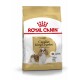 Sac de nourriture pour chiens Royal Canin Adult Cavalier King Charles avec un Cavalier King Charles Spaniel sur le devant, avec un design doré et blanc.