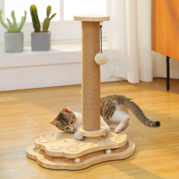 Kätzchen spielt mit einem Holz-Kratzbaum und Spielball auf Parkettboden nahe einem Fenster mit Topfpflanzen.