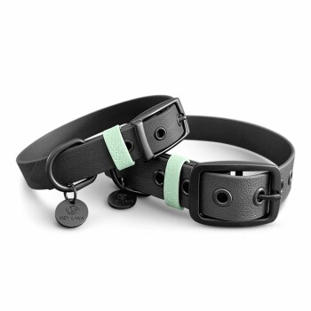 Schwarzes Haustierhalsband mit mintgrünen Akzenten und einem Anhänger, auf dem "HEY LANA" steht.