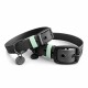 Schwarzes Haustierhalsband mit mintgrünen Akzenten und einem Anhänger, auf dem "HEY LANA" steht.