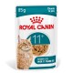Karma dla kotów Royal Canin w saszetce, 85g, kawałki w galaretce, dla starszych kotów powyżej 11 lat, z obrazkiem pomarańczowego kota pręgowane.