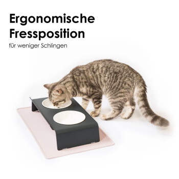 Getigerte Katze frisst aus erhöhten schwarzen Näpfen auf einer Matte; Bildtext: 'Ergonomische Fressposition' 'für weniger Schlingen'