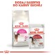 Aroma Exigent 4 kg