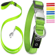 Helle grüne Hundehalsband- und Leinenkombination mit einer silbernen Schnalle und einem Clip, mit einem Logo und verschiedenen Farboptionen, die rechts angezeigt werden.