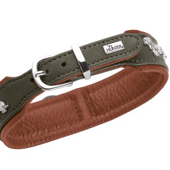 Olivgrünes und braunes, gepolstertes Leder‑Hundehalsband mit silberner Schnalle, Hund‑Anhänger und metallischem "HUNTER"‑Logoanhänger.