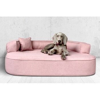 Ein grauer Hund, der auf einem plüschigen rosa Hundebett mit passendem Kissen liegt, vor einer hellgrauen Wand und einem Holzboden.
