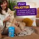 Personne nourrissant un chat orange à poils longs sur un canapé avec une pochette bleue Edgard Cooper PILLOWS ; bannière violette indiquant 'Pour FÉLICITER'.