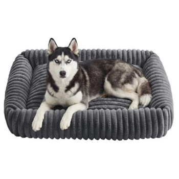 Sibirischer Husky mit blauen Augen liegt auf einem weichen, grauen, gerippten rechteckigen Hundebett mit erhöhtem Rand vor weißem Hintergrund.