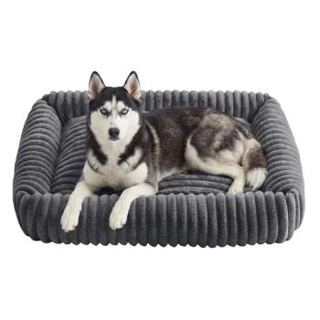 Sibirischer Husky mit blauen Augen liegt auf einem weichen, grauen, gerippten rechteckigen Hundebett mit erhöhtem Rand vor weißem Hintergrund.