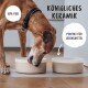 Ein brauner Hund leckt eine beige Keramikschüssel auf einem Holzboden. Der Text lautet "Königliches Keramik," "BPA-Frei," und "Perfekt für Lebensmittel."