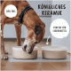 Ein brauner Hund leckt eine beige Keramikschüssel auf einem Holzboden. Der Text lautet "Königliches Keramik," "BPA-Frei," und "Perfekt für Lebensmittel."