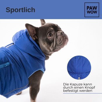 Ein Französischer Bulldogge in einer blauen, gepolsterten Jacke mit Kapuze, auf der "Sportlich" steht, mit einer abnehmbaren Knopfkappe.