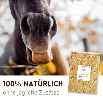 Braunes Kaninchen sitzt auf Jute mit Nahaufnahme von Körnern und Text „FÜR KANINCHEN“.