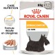 Sac de nourriture pour chiens Royal Canin Dermacomfort avec un terrier écossais noir et le texte "Care Nutrition" et "Formule réduite en allergènes."